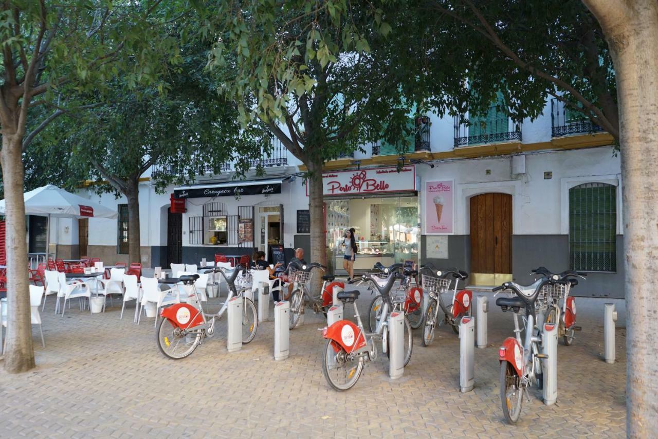 Atico Con Terraza En Alameda De Hercules 塞维利亚 外观 照片