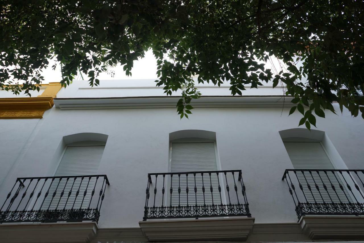Atico Con Terraza En Alameda De Hercules 塞维利亚 外观 照片